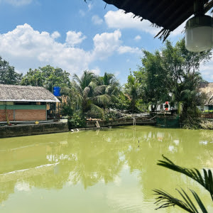 cau-ca-ao-sen-diem-den-sinh-thai-ket-hop-cau-ca-giai-tri-va-am-thuc-dong-que-tai-binh-chanh