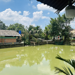 goi-y-quan-an-cau-ca-binh-chanh-de-thu-gian-cuoi-tuan